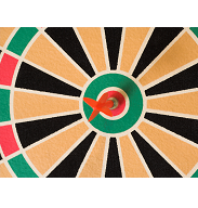 CES shoots for perfection. [ DARTS - Photo Courtesy of Mark Bolton - Dreamstime ]